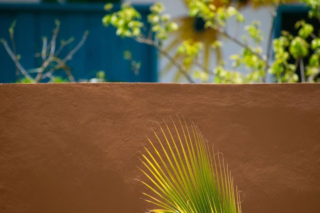Disfruta En La Casa De Lola / Enjoy At Lolas House Progreso  Exterior foto